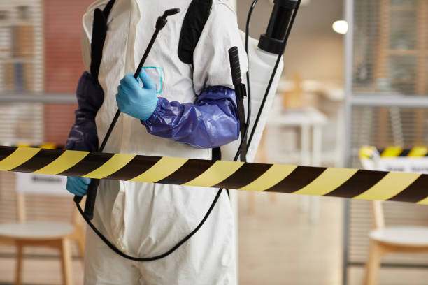 Professional Hoarding Cleanup technician working in Woodstock, IL