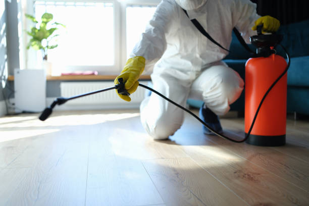 Reliable Hoarding Cleanup contractor in Woodstock, IL by Dulley Family Biohazard Services